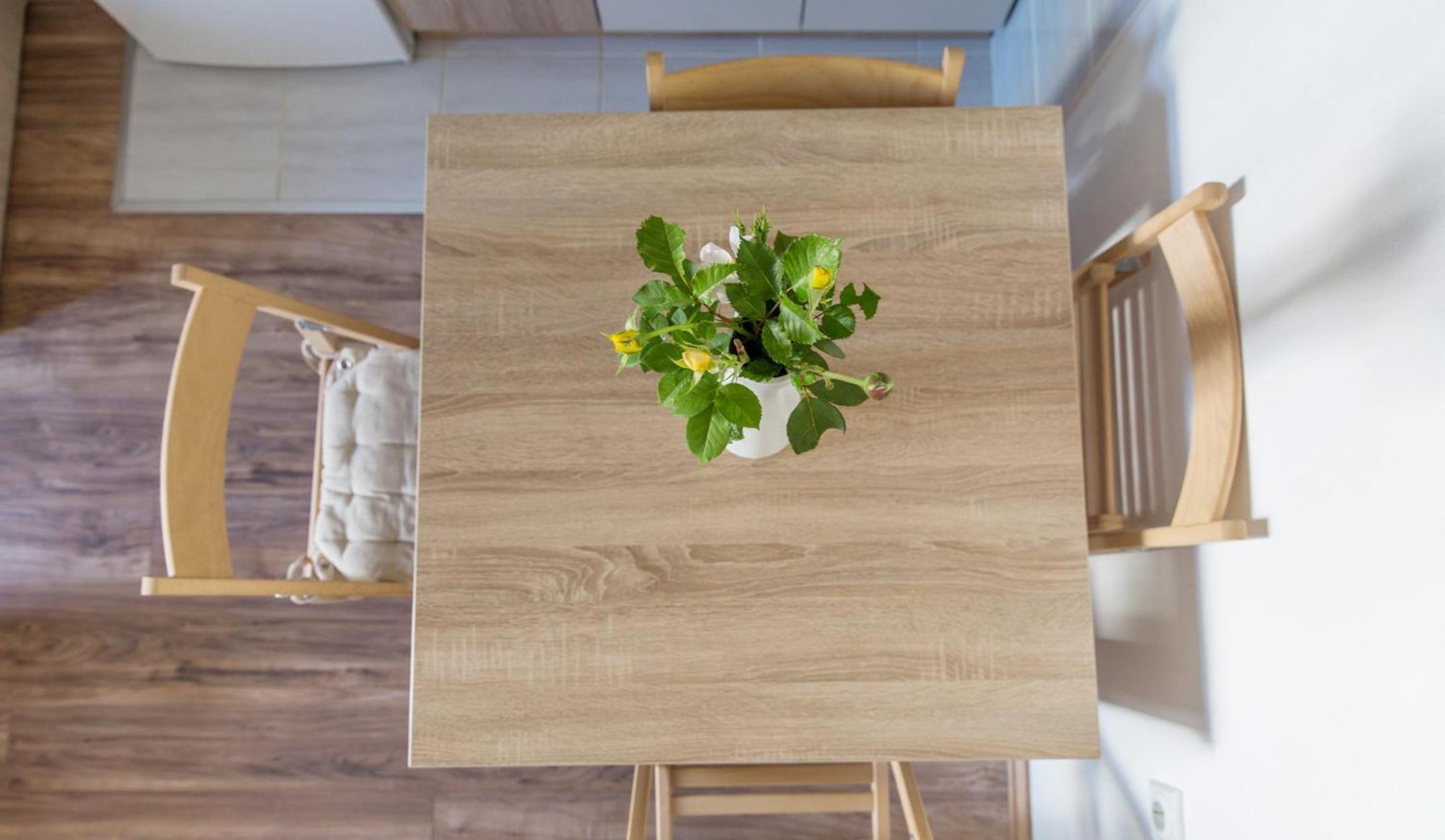 Zeleno Srce Apartment Соко Баня Екстериор снимка